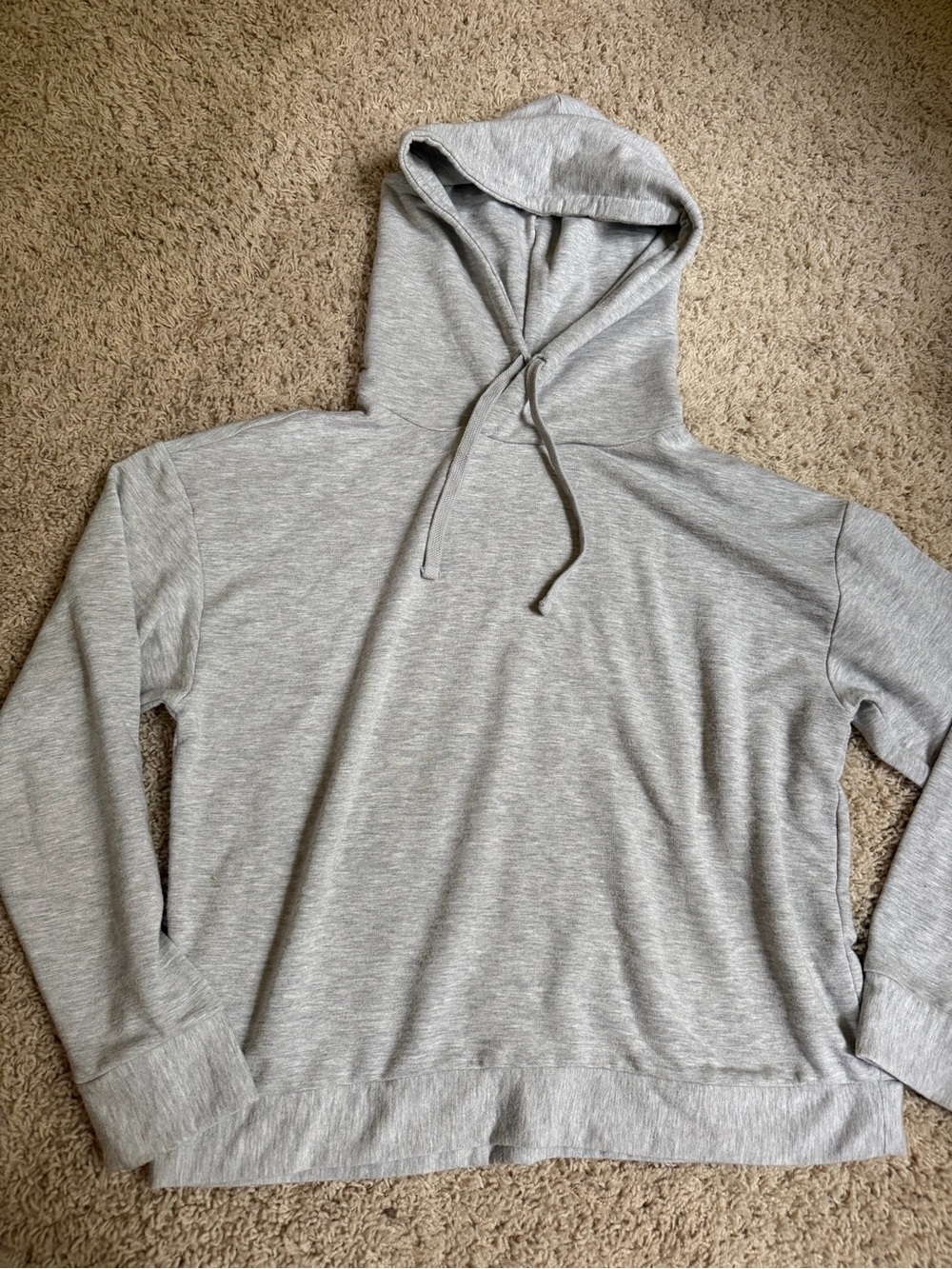 Quince hoodie